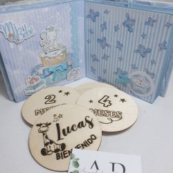Placas 12 meses